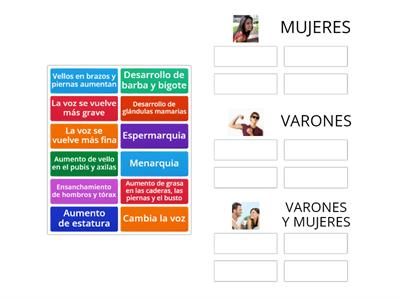 Desarrollo de los caracteres sexuales secundarios en los adolescentes