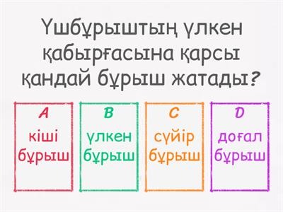 7 сынып геометрия тест