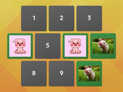 Piggy memory game