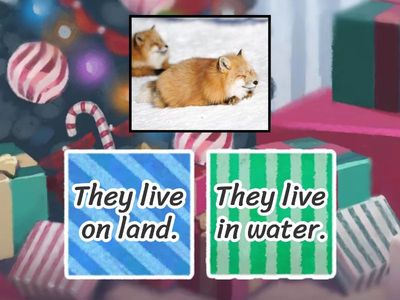  They live on land / in water.