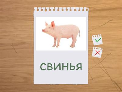 Домашние животные / maatilan eläimet CLIL su-ve