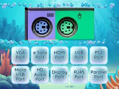 Grade 8 computer ports