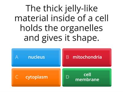 cell structure and function