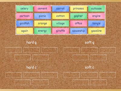 Word Sort (hard and soft c,g)