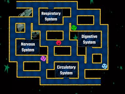 WMS Human Body Systems Review