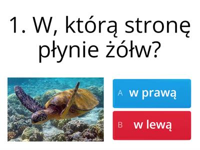 Prawa czy lewa strona? 