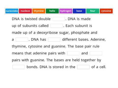 DNA Structure 