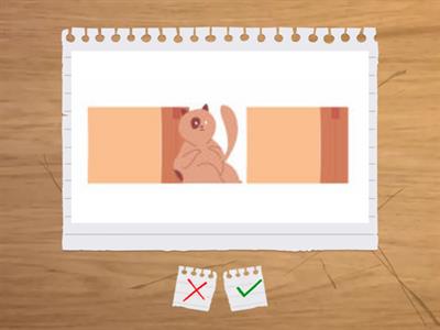 предлози за място