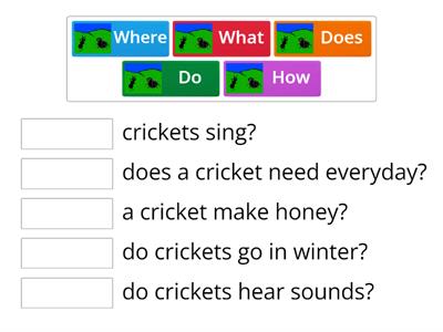 Match to make questions