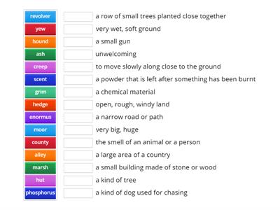 vocabulary 