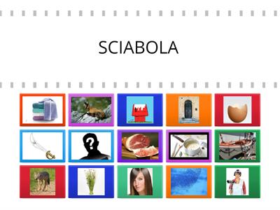 SCIA  SCIO  SCIU verifica