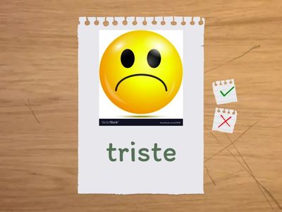  opposite flash cards