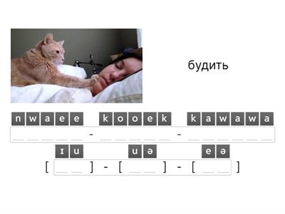 Irregular verbs  (3rd form=2nd form+n)