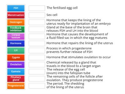 IGCSE The menstrual cycle