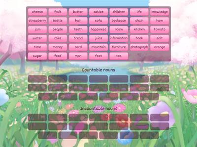 Countable and uncountable nouns