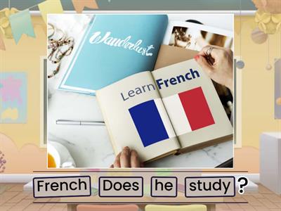 organize the sentences, questions and negative do and does