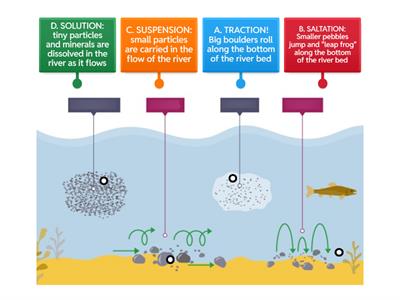 Types of transportation