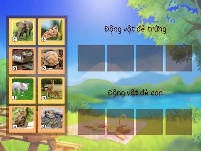 Xếp các loài động vật vào nhóm thích hợp