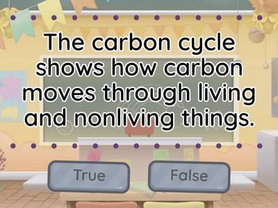 Carbon Cycle