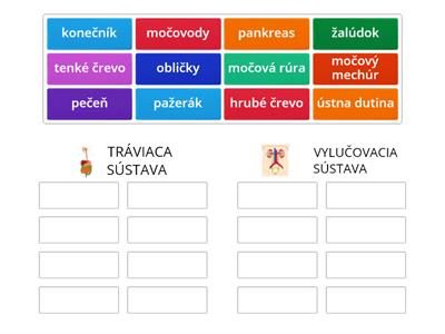 Tráviaca a vylučovacia sústava - triedenie