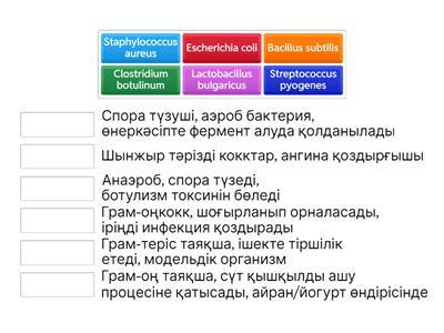 Микробиология 