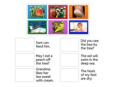 ee/ea sentence picture match