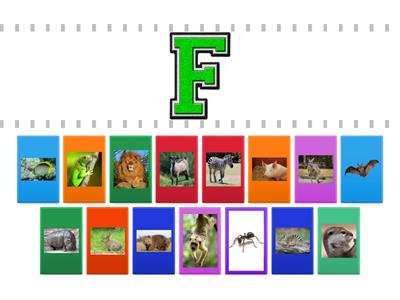 Alphaboat animal alphabet letter match