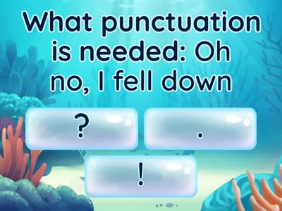 Simple Capitalization and Punctuation Practice