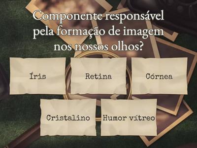 Quiz Olho Humano