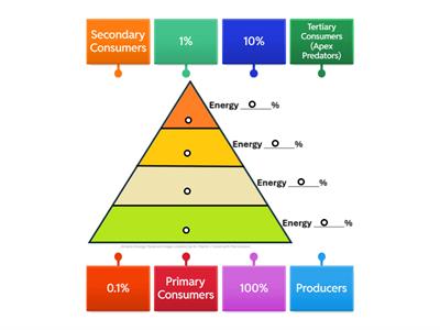 Simple Energy Pyramid Labeling