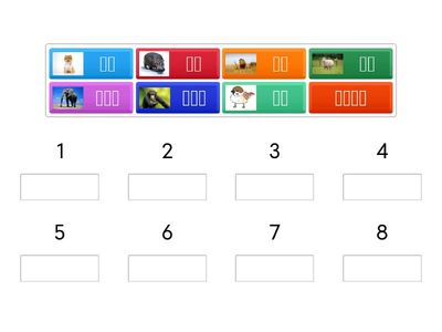 timeline動物重量