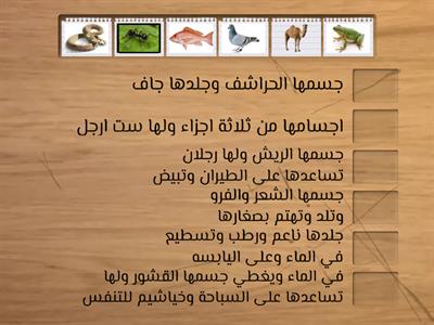 انواع الحيوانات 