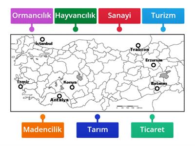 5.Sınıf 5.Ünite Ekonomik Faaliyetler Harita Eşleştirme