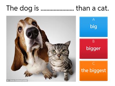  Comparatives and Superlatives