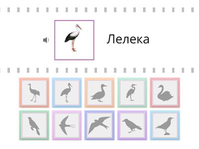 Знайди тінь "Перелітні птахи"