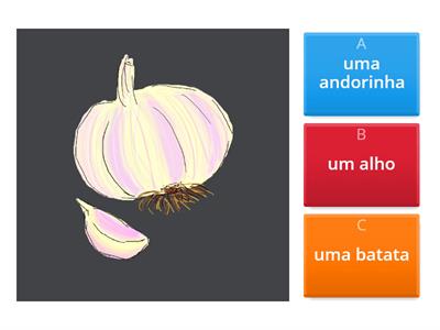 Vocabulário PLNM 