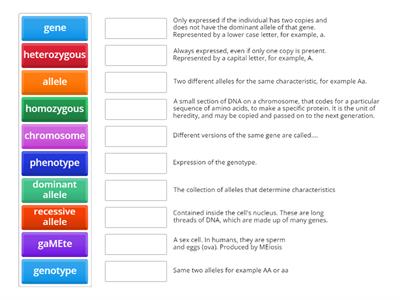 Match up Genetic inheritance terminology - definition given