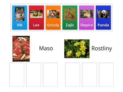 Která zvířata jí maso a které ne? 