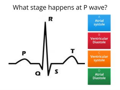 Heart ECG