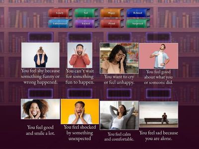 MATCHING THE FEELINGS