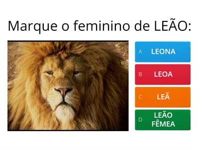 Substantivo masculino e feminino