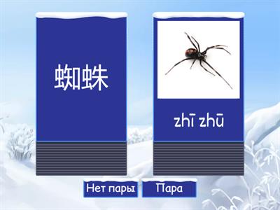 Время учить китайский 8, урок 3 (животные)