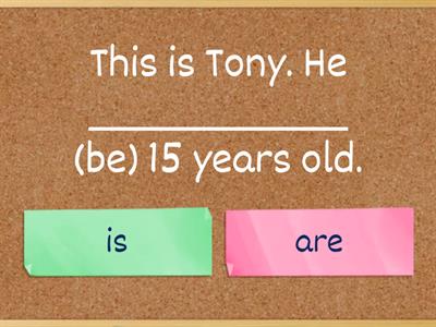 PRESENT SIMPLE TENSE