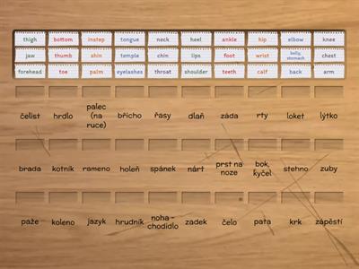 F6B - BODY: Cz-Eng. vocab. match