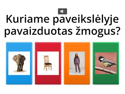 Žmogaus kūno dalys