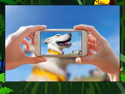 603-phonics (f, ph, gh)