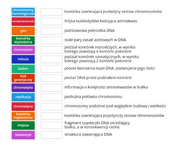 Podstawy genetyki - pojęcia