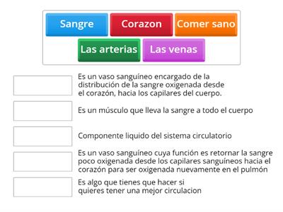 Sistema Circulatorio