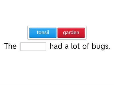 Reptile & Rabbit Sentences
