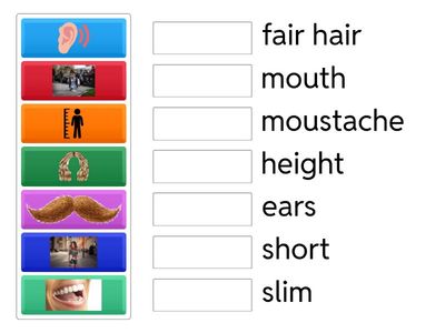 Spotlight 5 Module 4b Appearance